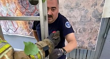 Bursa'da çatıya sıkışan ebabil kuşunu itfaiye görevlisi kurtardı