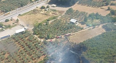 Bursa'da orman ve makilik yangını