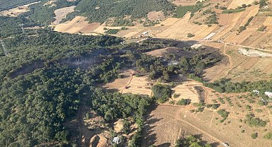 Bursa'da orman ve makilik yangını