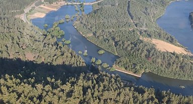 Bursa'da orman yangını