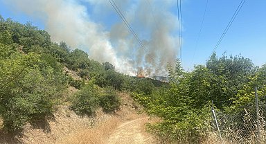 Bursa'da orman yangını