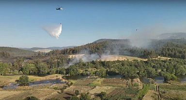 Bursa'da orman yangını