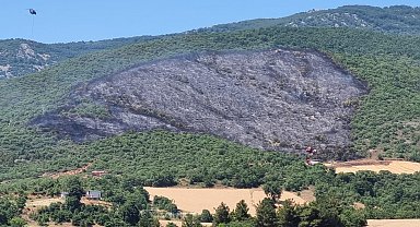 Bursa'da orman yangını