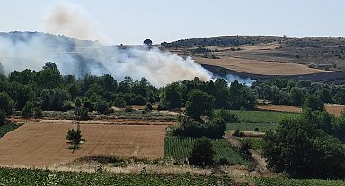 Bursa'da orman yangını