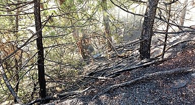 Bursa'da orman yangınına erken müdahale