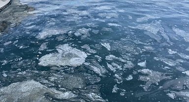 Çanakkale Boğazı'nda müsilaj etkisini kaybetti