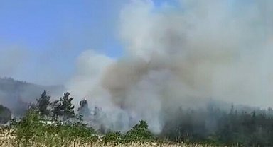 Çanakkale'de orman yangını