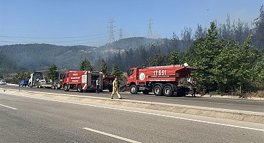 Çanakkale'de orman yangını