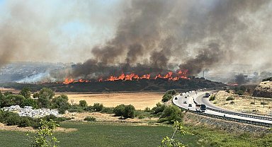 Çanakkale'de orman yangını