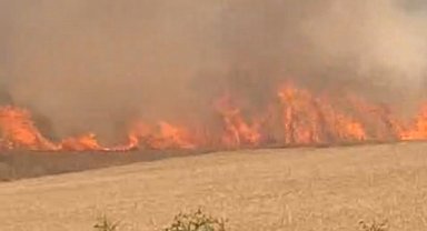 Çanakkale'de tarım arazisinde yangın