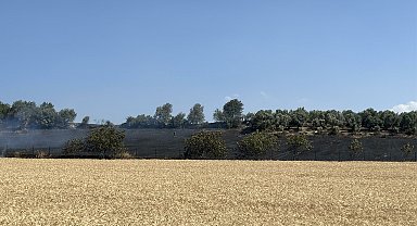 Çanakkale'de tarım arazisinde yangın