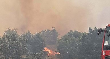 Çanakkale'de tarım arazisinde yangın