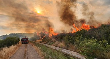 Çanakkale'deki otluk yangını 1 saatte söndürüldü