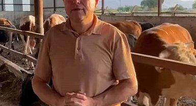 Dananın saldırısına uğrayan iş insanı, 3 gün sonra öldü