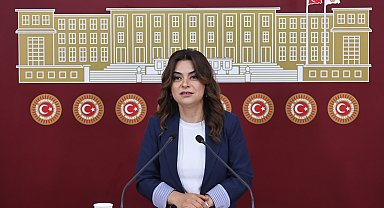 DEM Parti'li Koçyiğit: Bütün partiler İmralı'ya gitmeli