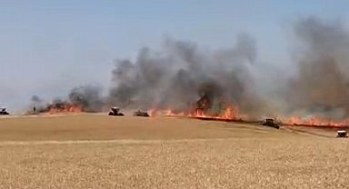 Diyarbakır'da 120 dönüm ekili buğday yandı