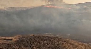 Diyarbakır'da anız yangını; ekiplerin müdahalesi sürüyor