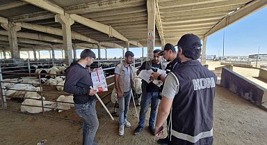 Diyarbakır'da, polisten kurban satıcılarına 'sahte para' uyarısı