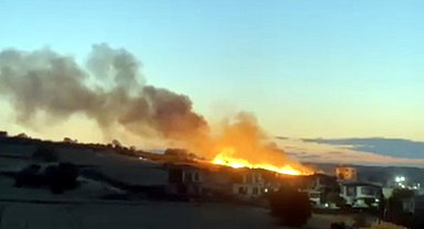 Düğünde atılan havai fişek, ekili buğday tarlasını yaktı