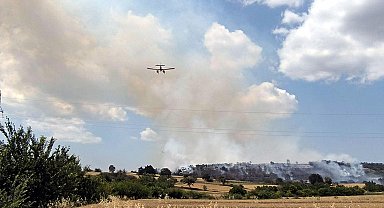 Edirne'de orman yangını