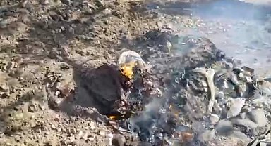 Edremit'te çöplükteki yangın, tarım arazisine sıçradı; söndürüldü