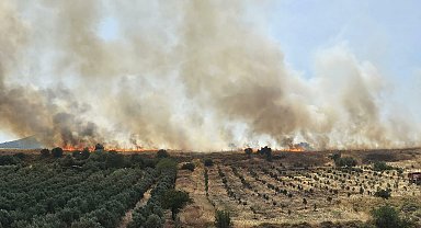 Foça'da ot yangını; 4 hektarlık alan zarar gördü