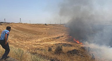 Gaziantep'te anız yangını; 300 dönüm alanda etkili oldu