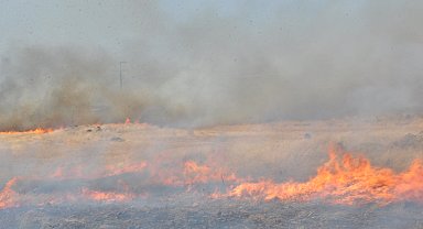 Gaziantep'te anız yangını 4 saatte söndürüldü