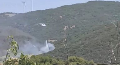 Gaziantep'te orman yangını 2,5 saatte söndürüldü