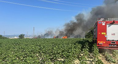Gelibolu'da tarım arazisinde yangın
