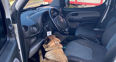 Gizli bölmedeki uyuşturucuyu 'Pako' buldu