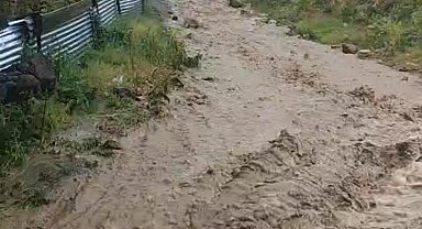 Göle'de sağanak sele yol açtı, evleri su bastı