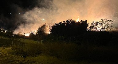 Hatay'da ağaçlık alanda çıkan yangın söndürüldü