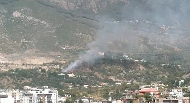 Hatay'da orman yangını