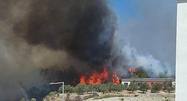 Hatay'da orman yangını