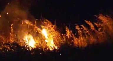 Havai fişek ormanı yaktı; düğündekiler tahliye edildi