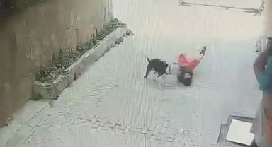 İstanbul - Ataşehir'de serbest bırakılan Pitbull'un 7 yaşındaki çocuğa saldırdığı anlar kamerada: 2 şüpheli serbest bırakıldı