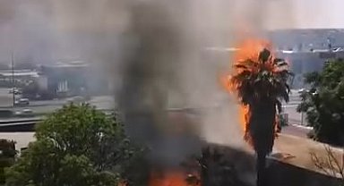 İstanbul- Avcılar'da otluk alandaki yangın iş yerlerine sıçramadan söndürüldü