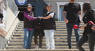 İstanbul - Beşiktaş'ta arkadaşını öldürüp, Kocaeli'de polise teslim oldu