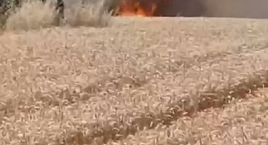 İstanbul - Çatalca'da buğday tarlasında yangın