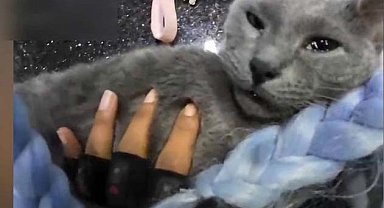 İstanbul - Esenyurt'ta kadın motokuryenin kalbi duran kediyi kurtarma çabası kamerada