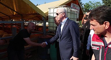 İstanbul - Hayvan pazarını ziyaret eden Vali Gül, kurban pazarlığına katıldı