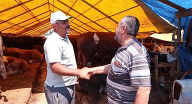 İstanbul - Kurban Bayramına 2 gün kala hayvan pazarlarında hareketlilik devam ediyor