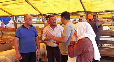 İstanbul- Kurban pazarlarında satıcılar toplanmaya başladı