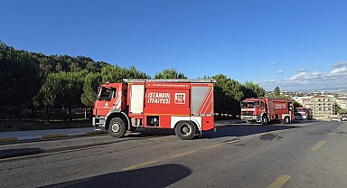 İstanbul - Pendik Aydos Ormanı'nda başlayan yangın büyümeden söndürüldü