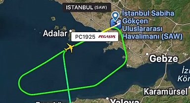 İstanbul-Sabiha Gökçen Havalimanı'nda pistte tavşan alarmı