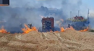 İstanbul-Silivri'de otluk alanda çıkan yangın çiftliğe sıçradı