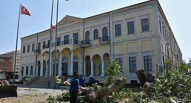 İzmir Valiliği önündeki asırlık çınar devrildi; o anlar kamerada