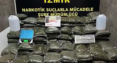 İzmir'de 126 kilo bonzai ele geçirildi
