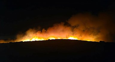 İzmir'de çıkan otluk yangını rüzgarla şiddetini artırdı